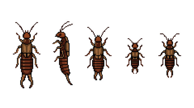 Pixel art earwig insects displayed in various sizes and poses, showcasing their distinct segmented bodies and pincer-like cerci in a retro game style.