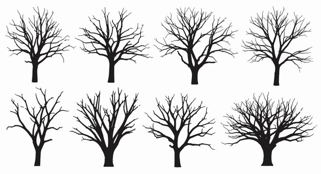 Collection of eight black silhouettes of dead trees with leafless branches and gnarled trunks. Set of bare winter tree shapes isolated on white background for graphic design and art.