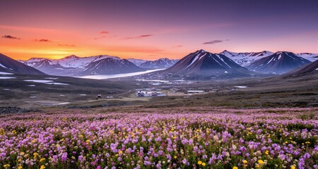 Fototapeta premium Wallpaper norway landscape nature of the mountains of Spitsbergen Longyearbyen Svalbard on a flowers polar day with arctic summer in the sunset 