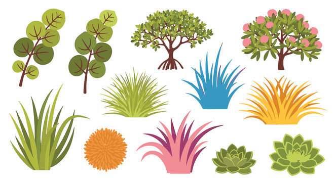Vector collection of tropical coastal plants featuring sea grape branches, mangrove tree with roots, flowering pink shrub, colorful beach grasses, bromeliad, and green succulents isolated on white.