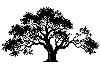 Fototapeta premium Silhouetted oak tree illustration detailed foliage vector graphic