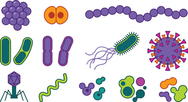 Bacteria and Virus Microorganism Vector Icon Set with Cocci Bacilli Bacteriophage and Pathogen Cell Structures for Medical Science Designs