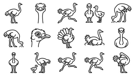Obraz premium Ostrich Line Art Icons: Various Poses and Styles