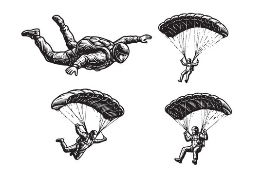 Collection of 4 black and white skydiver vector illustrations. Features freefalling and open parachute poses in a vintage engraving style.