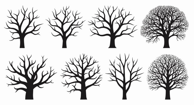 Collection of eight leafless dead tree silhouettes isolated on white background. Set of black bare branch wood shapes with various trunk widths and twig densities for graphic design.