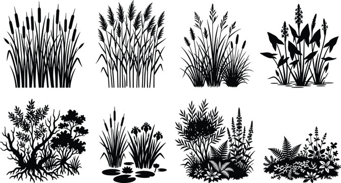 Wetland and marsh plant silhouette collection with reeds, cattails, aquatic grasses and pond vegetation isolated on white background