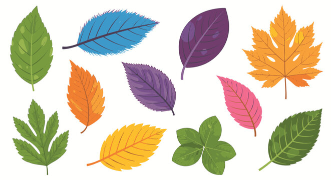 Vector collection of colorful stylized leaves including green, blue, purple, orange, and yellow varieties with distinct vein patterns and shapes isolated on a white background.