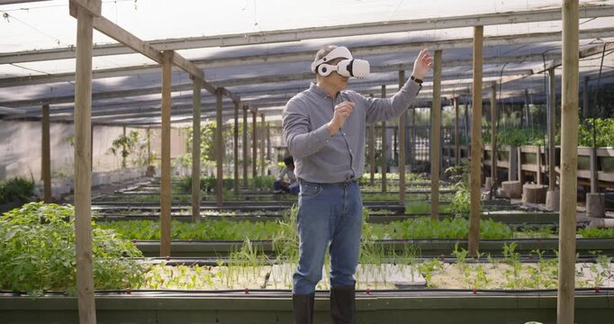 Mid adult female adjusting white VR headset after VR cue, gesturing in greenhouse testing crops