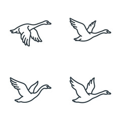 Fototapeta premium Four outline drawings of geese in flight.