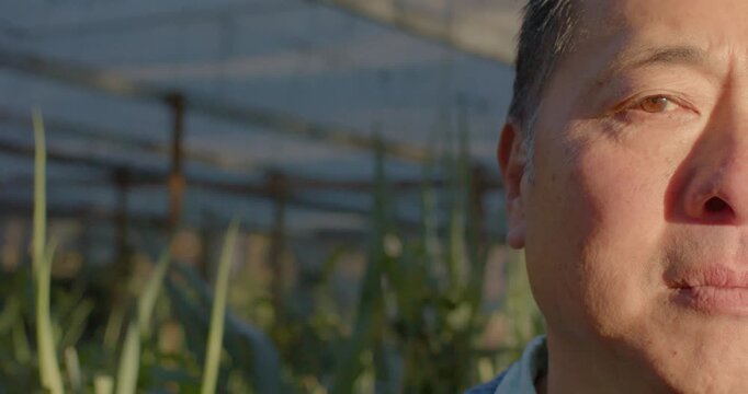 Senior Chinese man standing on right, sunlight warming cheek, smiling amid plants, copy space