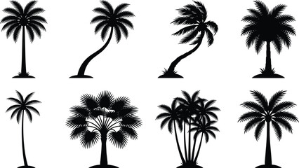 Fototapeta premium Tropical Palm Tree Silhouette Collection Featuring Diverse Coconut and Fan Palms Isolated on White Background