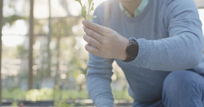Mid adult woman kneeling holding seedling on nursery bench inspecting roots for potting wristwatch