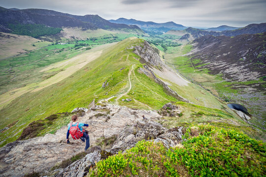 A female hiker descending the rocky ridge of High Snab Bank, ridgeline, from the summit of Robinson with Newlands in the distance in the English Lake District, UK.