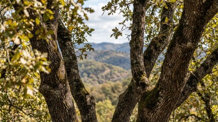 Fototapeta premium Animated landscape with colorful hills and trees concept. A tranquil view through tree branches towards a scenic landscape.