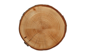 Fototapeta premium Tree trunk displaying concentric annual rings and growth patterns, showing natural wood texture and age, on a transparent background