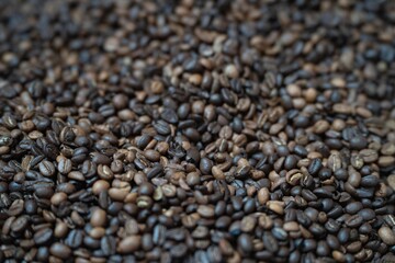 Aromatic Coffee Bean Background: A close-up, macro view showcases a rich tapestry of roasted coffee beans, their varied shades of brown hinting at the complex flavors within. © venusvi