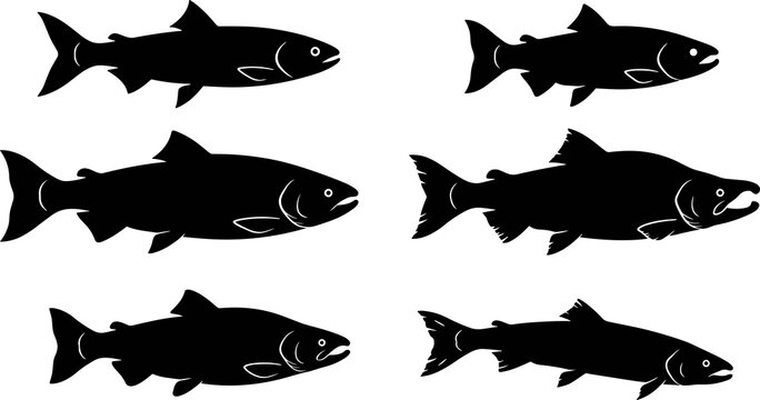 Black salmon and trout silhouette collection featuring varied body shapes and fin configurations for aquatic vector design