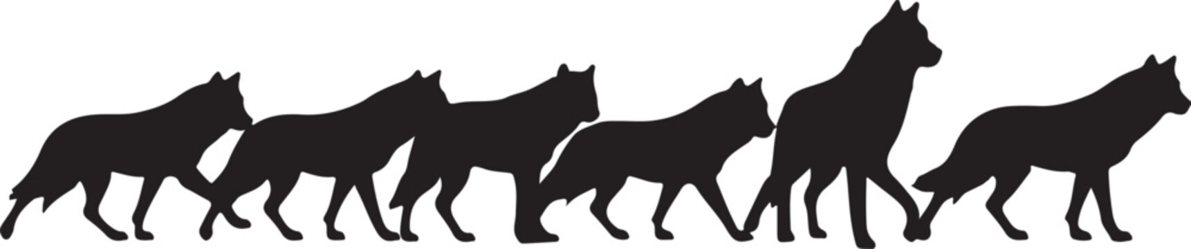 Wolf pack silhouette, walking wolves in a line black