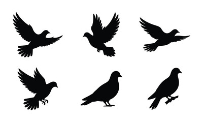 Naklejka premium Pigeon bird silhouette collection for peace symbol and urban nature.