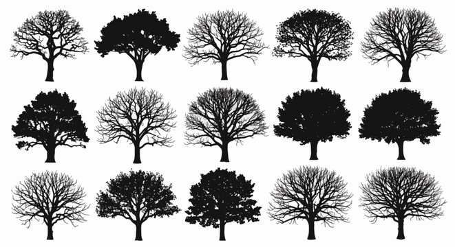 Collection of fifteen black tree silhouettes including leafless winter branches and full foliage canopies. Deciduous oak and maple shapes isolated on white background for design work.