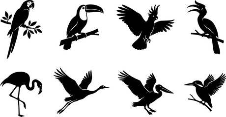 Exotic bird silhouette collection featuring parrot, toucan, cockatoo, hornbill, flamingo, crane, pelican, and kingfisher designs © SUJAN