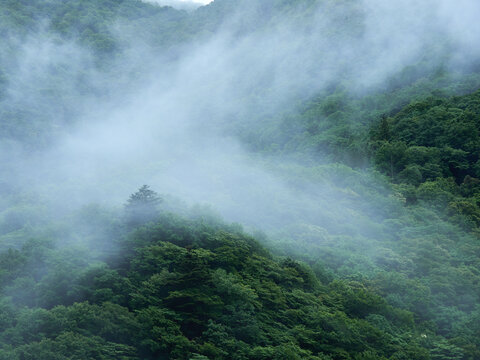 夏の雨の日の観光地奥飛騨の山の風景