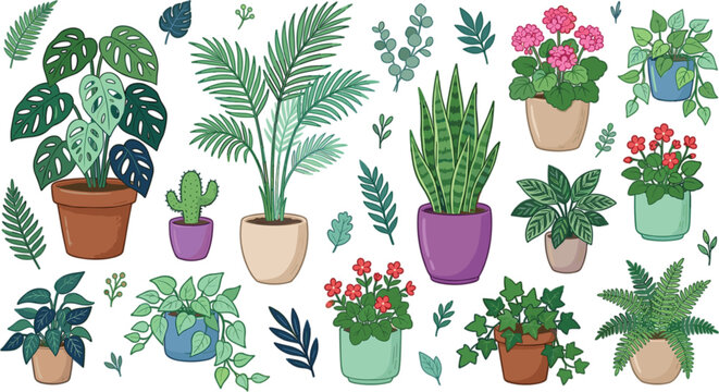Large collection of hand drawn potted indoor houseplants and botanical tropical leaves flat cartoon vector illustration