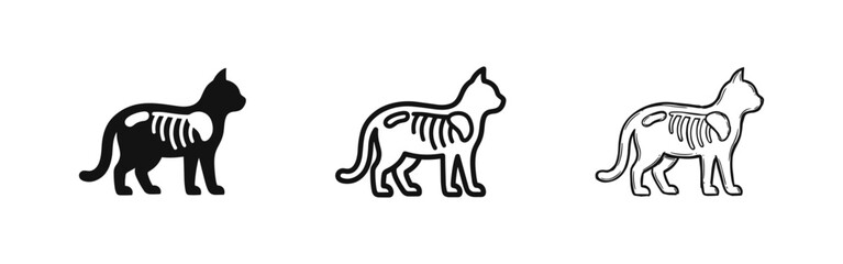 Fototapeta premium Cat anatomy x-ray style icons set, skeletal structure, veterinary symbols, flat and hand drawn
