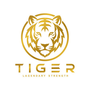 Premium Golden Tiger Head Logo Vector Luxury Animal Mascot Emblem