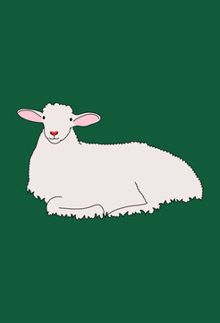 Portrait Vector Illustration of a Funny Sheep Lying on Grass Field Pasture Background
