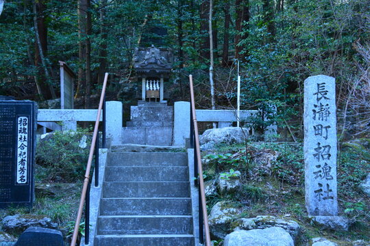 埼玉県 長瀞町の宝登山神社