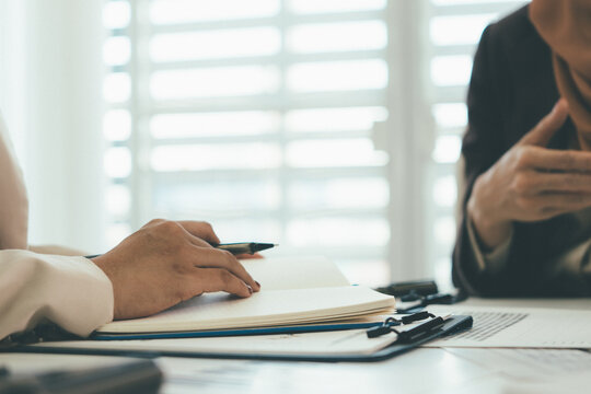 Professional Business Consultation Between Female Professionals