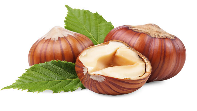 Fresh whole and broken hazelnuts with green leaves on a natural food ingredient isolated on transparent background