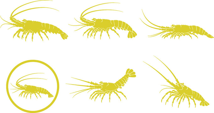 Spiny Lobster Silhouette Icon Set
