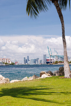 Modern skyline of Miami with towering skyscrapers, tropical vibe, and waterfront views
