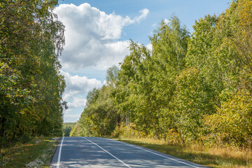 Fototapeta premium Country asphalt road in summer landscape