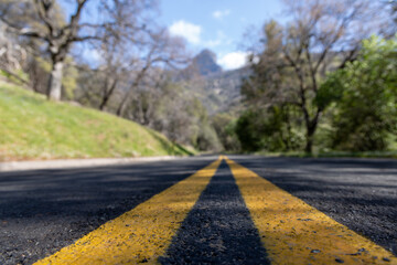 Naklejka premium Yellow road marking in US national park