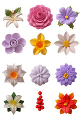 Obraz premium A Collection of Twelve Assorted Decorative Flowers and Floral Elements.