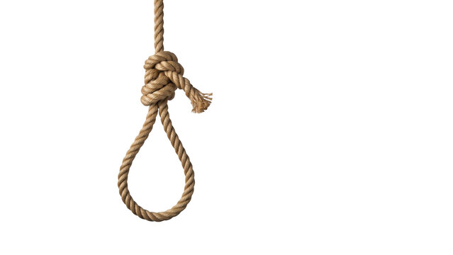 Strong brown rope tied in a hangman noose knot hanging down from above isolated on transparent background