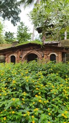 Obraz premium Original daylight photo of a rustic garden cottage surrounded by blooming yellow flowers and lush tropical greenery, captured with authentic natural details and real outdoor lighting.