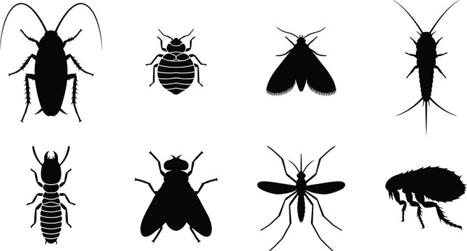 Household Pest Insects Black Silhouette Icons Set with Cockroach Bedbug Mosquito and Flea Isolated on White Background