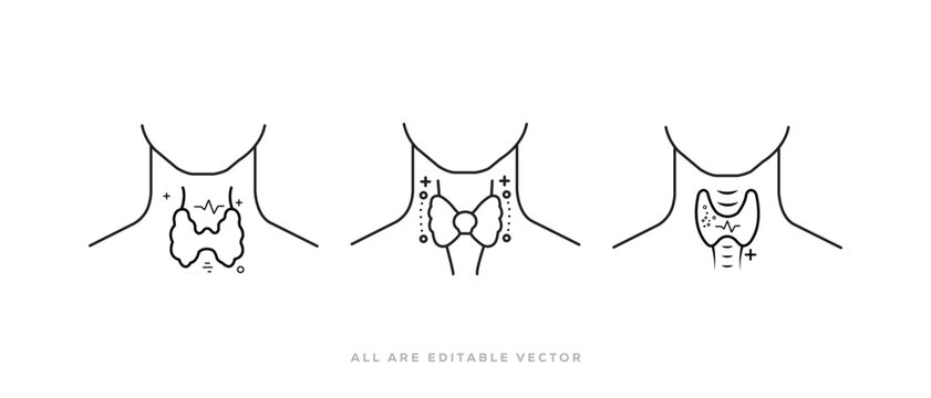 Thyroid gland line icon. Neck Anatomy Medical Outline, hormone disorder vector illustration