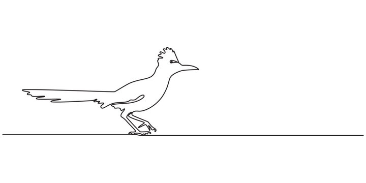 roadrunner bird continuous one line drawing, roadrunner bird isolated silhouette vector, Greater Roadrunner Outline Vector, Roadrunner bird silhouette vector, clipart roadrunner, pro
