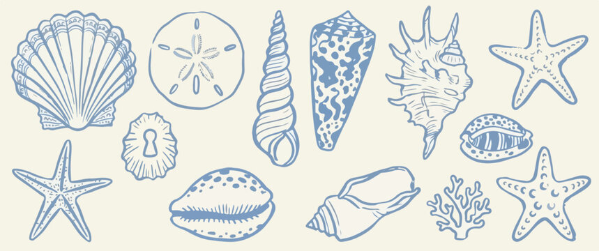 Blue sea or ocean shell collection. Contemporary isolated beach art in chalk, charcoal or wax crayon drawing style vector illustration. Ink grunge hand drawn doodle shells set. Pencil design elements.