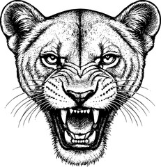 Obraz premium Vector illustration of a lion