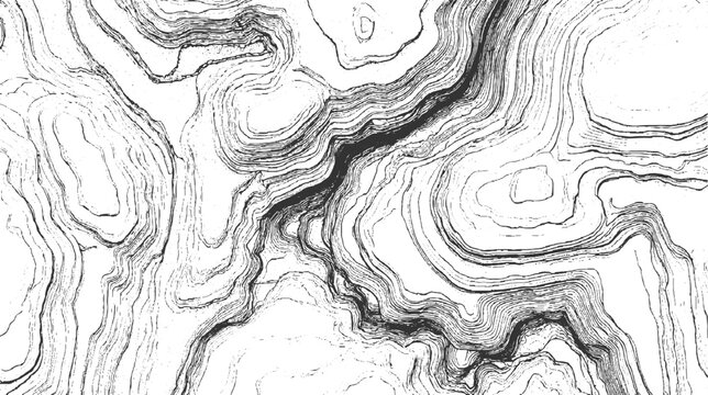 Black and white abstract topographic contour lines forming a textured pattern