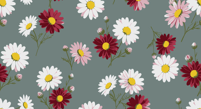 Seamless daisy floral pattern with pink and white flowers
