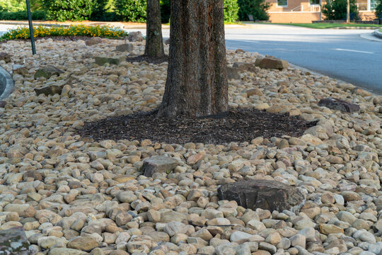 Decorative river rocks and smooth pebbles forming a natural ground cover in a landscaped area with tree trunks, dark mulch, and a paved road, ideal for garden design.