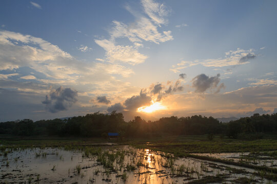 Landscape sky background with cloud  light  sunset  in   fields.