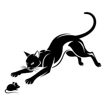 Black and white cat stalking a mouse in a playful stance